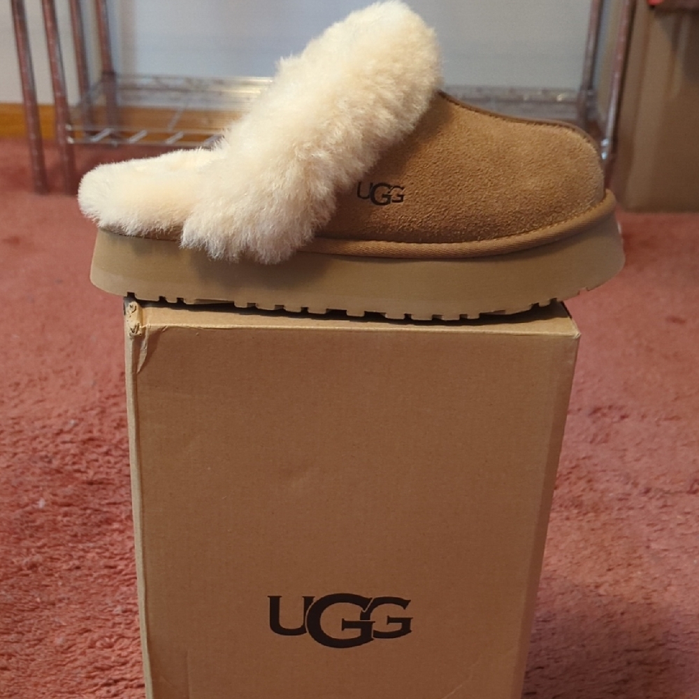 UGG Chestnut Suede Disquette